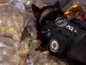 Kırıkkale’de Uyuşturucu Operasyonu