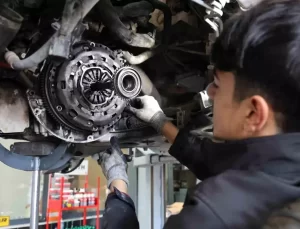 Kış Bakımı İhmal Edilmemeli