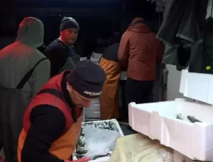 Kıyıköy’de Istavrit ve Çinekop Bolluğu