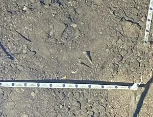 Kız Kardeşlerin Cinayeti: 2 Tutuklama