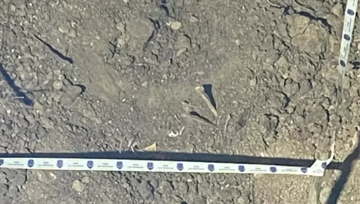 Kız Kardeşlerin Cinayeti: 2 Tutuklama