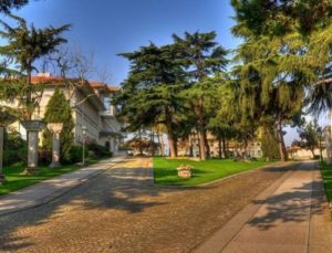 Koç Holding’ten biyoteknolojide satın alma hamlesi