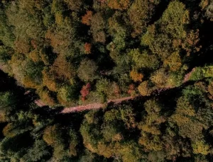 Kocaali’de Sonbahar Güzellikleri