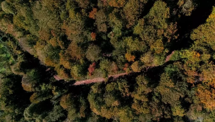 Kocaali’de Sonbahar Güzellikleri