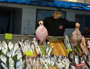 Kocaeli’de çinekop ve hamsi tezgahlarda