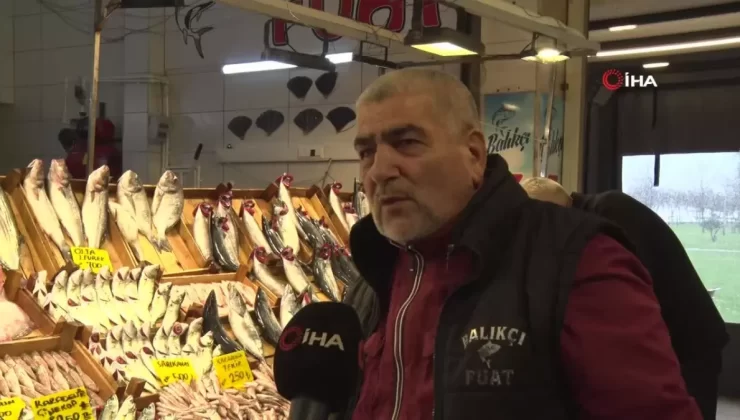 Kocaeli’de Hamsi ve Çinekop Dönemi