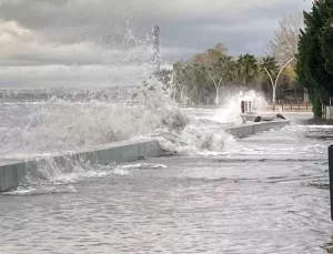 Kocaeli’de Şiddetli Lodos Hayatı Olumsuz Etkiledi