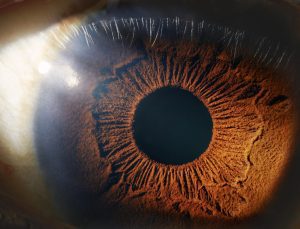 Kök hücre tedavisi ile ilk kez insanlarda görme yetisi geri kazandırıldı