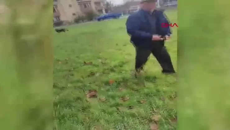 Köpek Kulübelerini Yakan Adam Serbest Bırakıldı