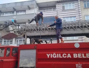 Köpek Terasta Mahsur Kaldı