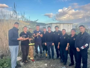 Köpek Yavruları Giderden Kurtarıldı