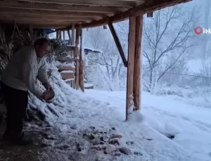 Köylüler Kar Altında Kuşları Unutmadı