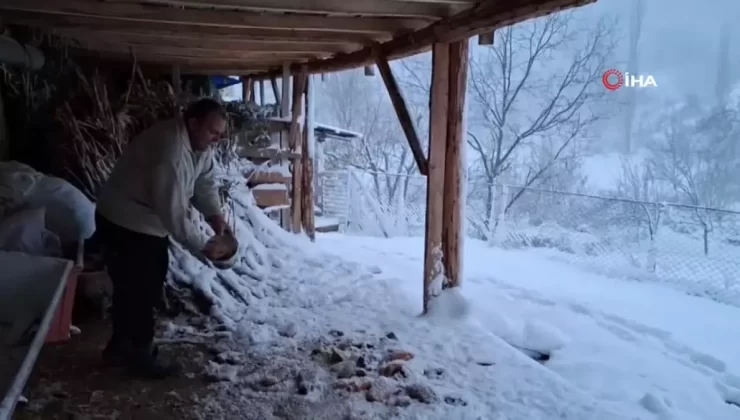 Köylüler Kar Altında Kuşları Unutmadı
