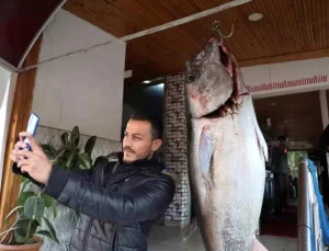 Kozan’da Dev Orkinos Yakalandı