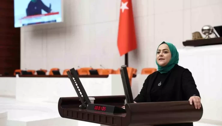 Kumar Bazlı Tehlikeye Dikkat!