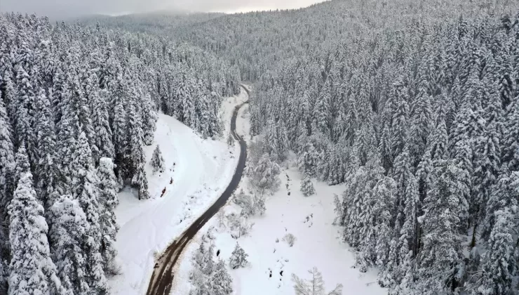 Küre Dağları Beyaza Büründü