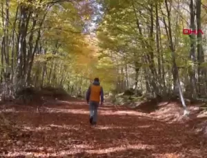 Küre Dağları’nda Sonbahar Güzellikleri