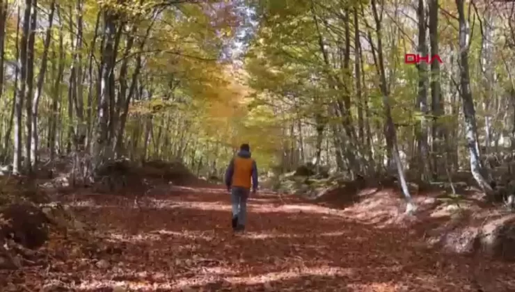 Küre Dağları’nda Sonbahar Güzellikleri