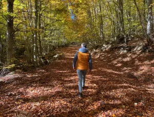 Küre Dağları’nda Sonbahar Şahane