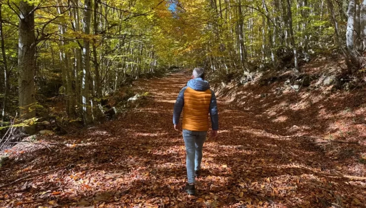 Küre Dağları’nda Sonbahar Şahane