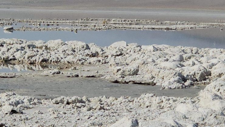 Kuş cennetini kuraklık vurdu, mikrobiyalitler göründü