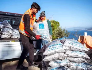 Kuşadası Belediyesi İhtiyaç Sahiplerine Kömür Yardımında Bulundu