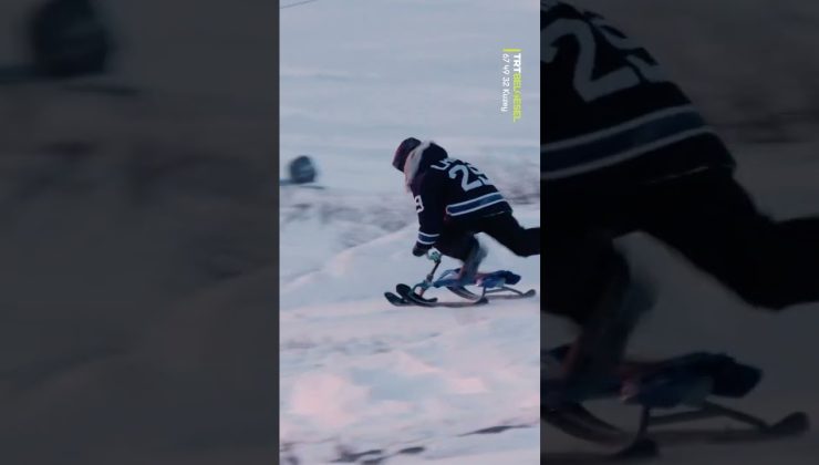 Kutuplarda yaşam 🥶