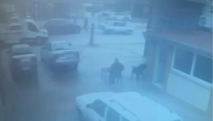Kuzen cinayetinde görüntüler ortaya çıktı