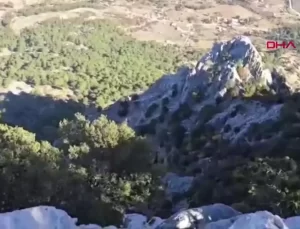 Mahsur Keçi 10 Gün Sonra Kurtarıldı