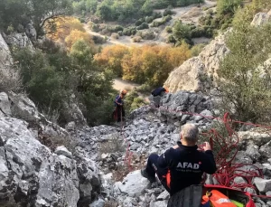 Mahsur Keçi AFAD Tarafından Kurtarıldı