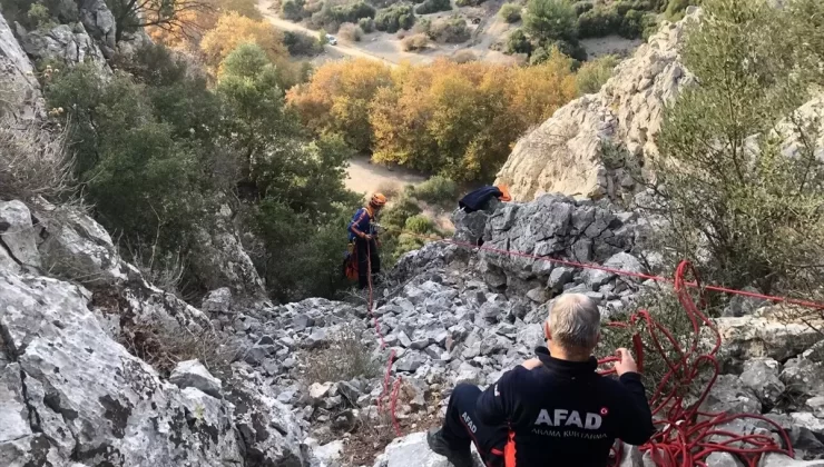 Mahsur Keçi AFAD Tarafından Kurtarıldı