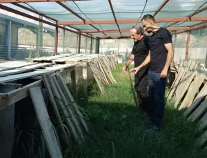 MAKÜ’de Salyangoz Üretimi Projesi