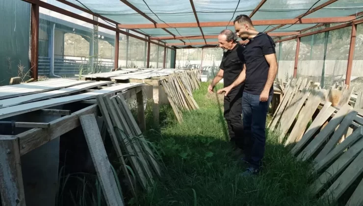 MAKÜ’de Salyangoz Üretimi Projesi