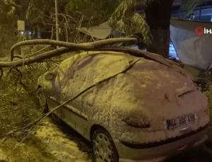 Malatya’da Yoğun Kar Ağaç Dallarını Kırdı, Araçlar Zarar Gördü