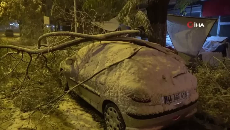 Malatya’da Yoğun Kar Ağaç Dallarını Kırdı, Araçlar Zarar Gördü