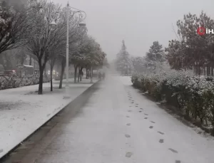 Malatya’da Yoğun Kar Yağışı Ağaç Dallarını Kırdı