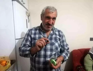 Malatya’da Zeytin Hasadı Sevinci