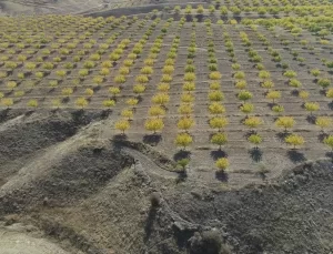 Malatya’nın Sonbahar Güzelliği