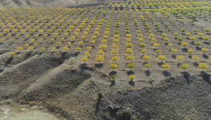 Malatya’nın Sonbahar Güzelliği