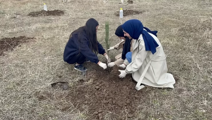 Malazgirt’te Fidan Dikim Etkinliği