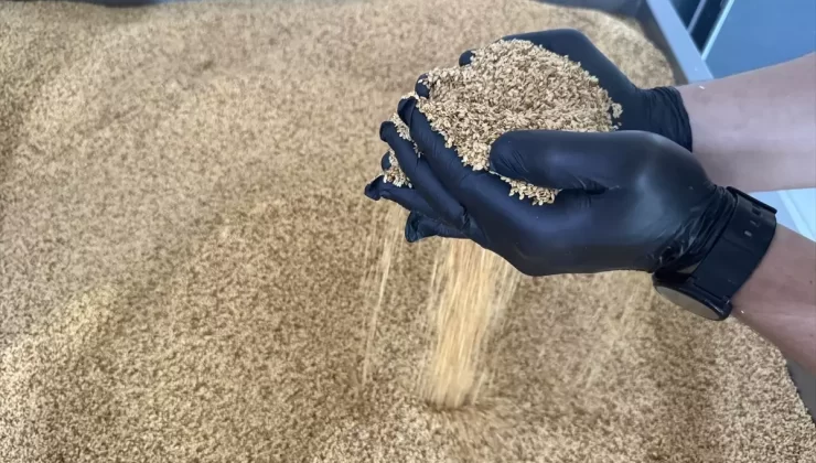 Manavgat Susamı, Otellerin Vazgeçilmezi