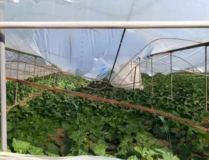 Manavgat’ta Hortum Serayı Üçüncü Kez Vurdu