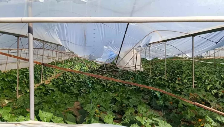 Manavgat’ta Hortum Serayı Üçüncü Kez Vurdu