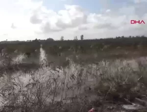 Manavgat’ta Sağanak Yağış Tarım Alanlarını Vurdu