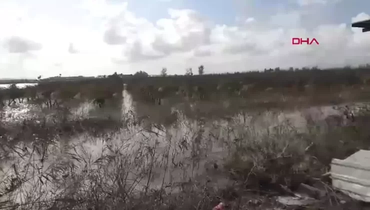 Manavgat’ta Sağanak Yağış Tarım Alanlarını Vurdu
