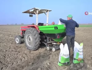 Manisa’da Büyükşehir Belediyesi’nden Çiftçilere Yüzde 75 Hibe Destekli Tohum Desteği