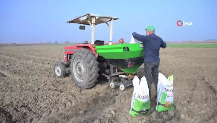Manisa’da Büyükşehir Belediyesi’nden Çiftçilere Yüzde 75 Hibe Destekli Tohum Desteği