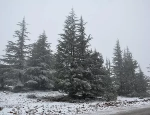 Manisa’da Spil Dağı’na Mevsimin İlk Karı Yağdı