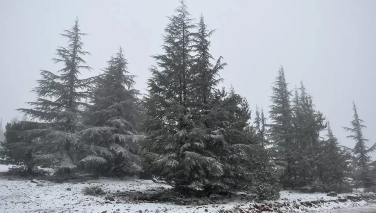 Manisa’da Spil Dağı’na Mevsimin İlk Karı Yağdı