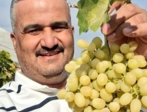 Manisalı üreticiye göre, üzümü bağında bekletenler daha karlı